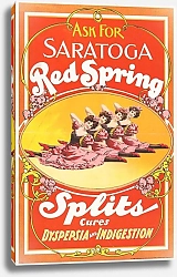 Постер Ю.С. Принтинг Ко Ask for Saratoga red spring splits, cures dyspepsia and indigestion