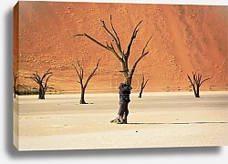 Постер Высохшие деревья в пустыне Деад Фляй, Намибия, Южная Африка