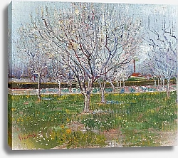 Постер Ван Гог Винсент (Vincent Van Gogh) Фруктовый сад в цвету (сливы)