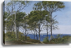 Постер Сковгаард П. С. View Through Beech Trees Across a Fiord