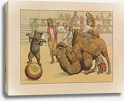 Постер Загорский Адам Circus for children Pl.07