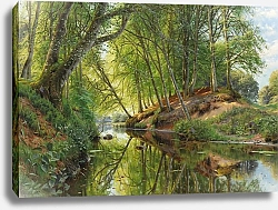 Постер Монстед Петер Flußlauf am Waldesrand