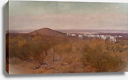 Постер Челмонский Юзеф Barrow