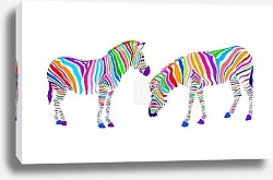 Постер Две зебры с цветными полосками