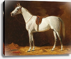 Постер Волкерс Эмиль Белая лошадь