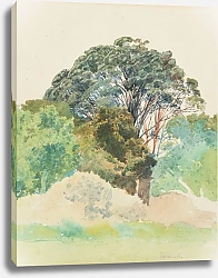 Постер Ричмонд Джеймс Рата, Таранаки