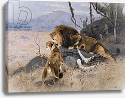 Постер Кунер Вильгельм Lion and Lioness; Lowe und Lowin,