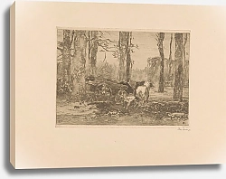 Постер Цварт Виллем Hakhout laden