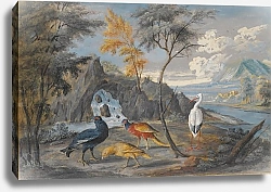 Постер Ройен Виллем Аист, фазан, тетерев и другие птицы на фоне пейзажа