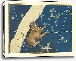 Постер Байер Иоганн Canis Major