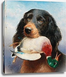 Постер Райхерт Карл Гордонский сеттер с уткой-кряквой