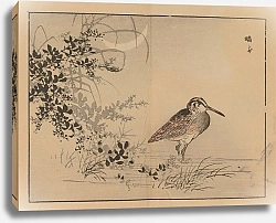 Постер Байрей Коно Байрей гафу, пл.40