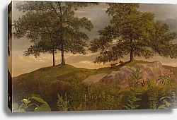 Постер Бирштад Альберт Пейзаж с Коровами