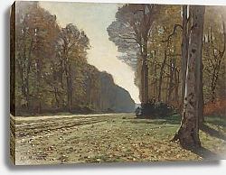 Постер Моне Клод (Claude Monet) Le Pav? de Chailly