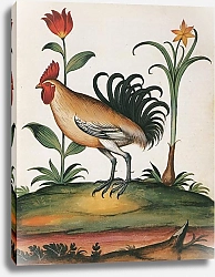 Постер Junglefowl (male)