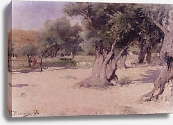 Постер Поленов Василий Оливковые деревья на Святой земле