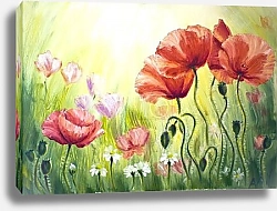 Постер Свет весеннего поля