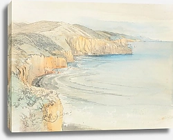 Постер Шевалье Николас Побережье близ Данидина