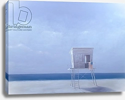 Постер Селигман Линкольн (совр) Dawn, Miami