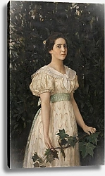 Постер Васнецов Виктор Портрет Веры Саввишны Мамонтовой