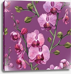 Постер Орхидеи. Акварель
