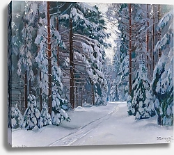 Постер Жуковский Станислав Заснеженная лесная тропа