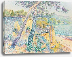 Постер Гайдан Луис Le Cap Brun