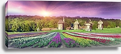 Постер Ветряные мельницы на полях тюльпанов