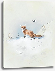 Постер A fox darting through the snow