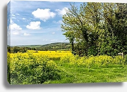 Постер Солнечная весна в сельском Суссексе