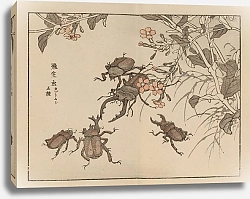 Постер Байрей Коно Байрей гафу, пл. 64