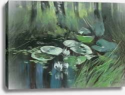 Постер Хагемайстер Карл Teich in der Mark mit Seerosen