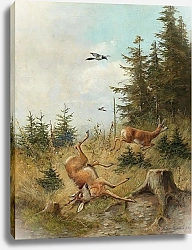 Постер Мюллер Моритц охота