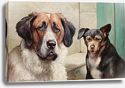 Постер Райхерт Карл Меланхолик, Флегматик