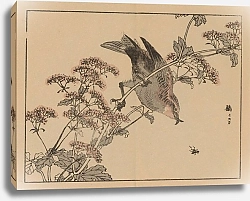 Постер Байрей Коно Байрей гафу, пл.45