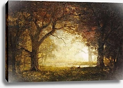 Постер Бирштад Альберт Forest Sunrise