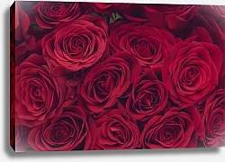 Постер Ало-красные розы в букете