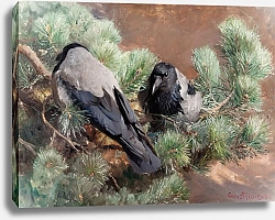 Постер Лильефорс Бруно Вороны