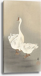 Постер Косон Охара Two geese
