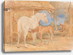 Постер Льюис Джон Серая кобыла и Гнедой жеребенок