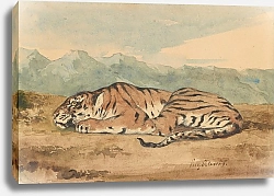 Постер Делакруа Эжен (Eugene Delacroix) Royal Tiger
