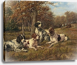 Постер Остхаус Эдмунд Сеттеры в состоянии покоя