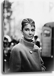 Постер Hepburn, Audrey 72