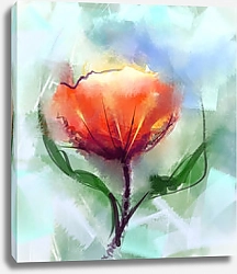 Постер Красный цветок мака