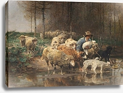 Постер Зюгеь Генрих Schäfer mit Herde am Wasser