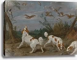 Постер Уайлденс Ян Охота на куропаток