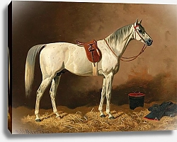 Постер Волкерс Эмиль Серый в конюшне