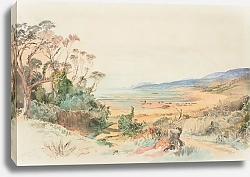Постер Шевалье Николас Wiltshire Bay and the Nuggets, Otago coast