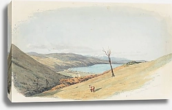 Постер Ричмонд Джеймс Веллингтон, Торндон-Флэт, Тараруа