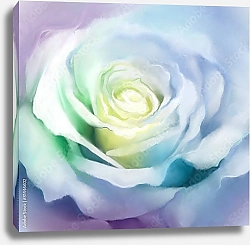 Постер Белая роза 1